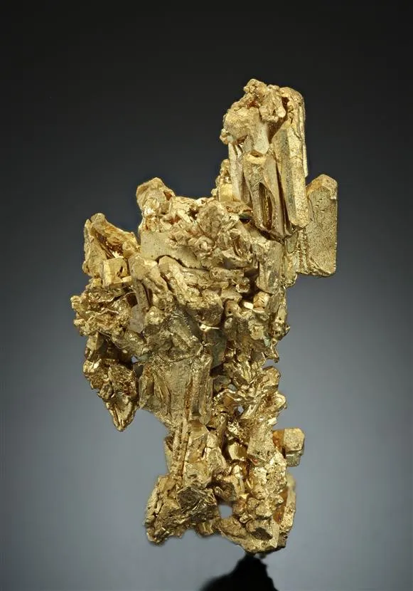 NATIVE Gold image