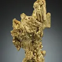 NATIVE Gold - image 1