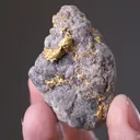 NATIVE Gold - image 2