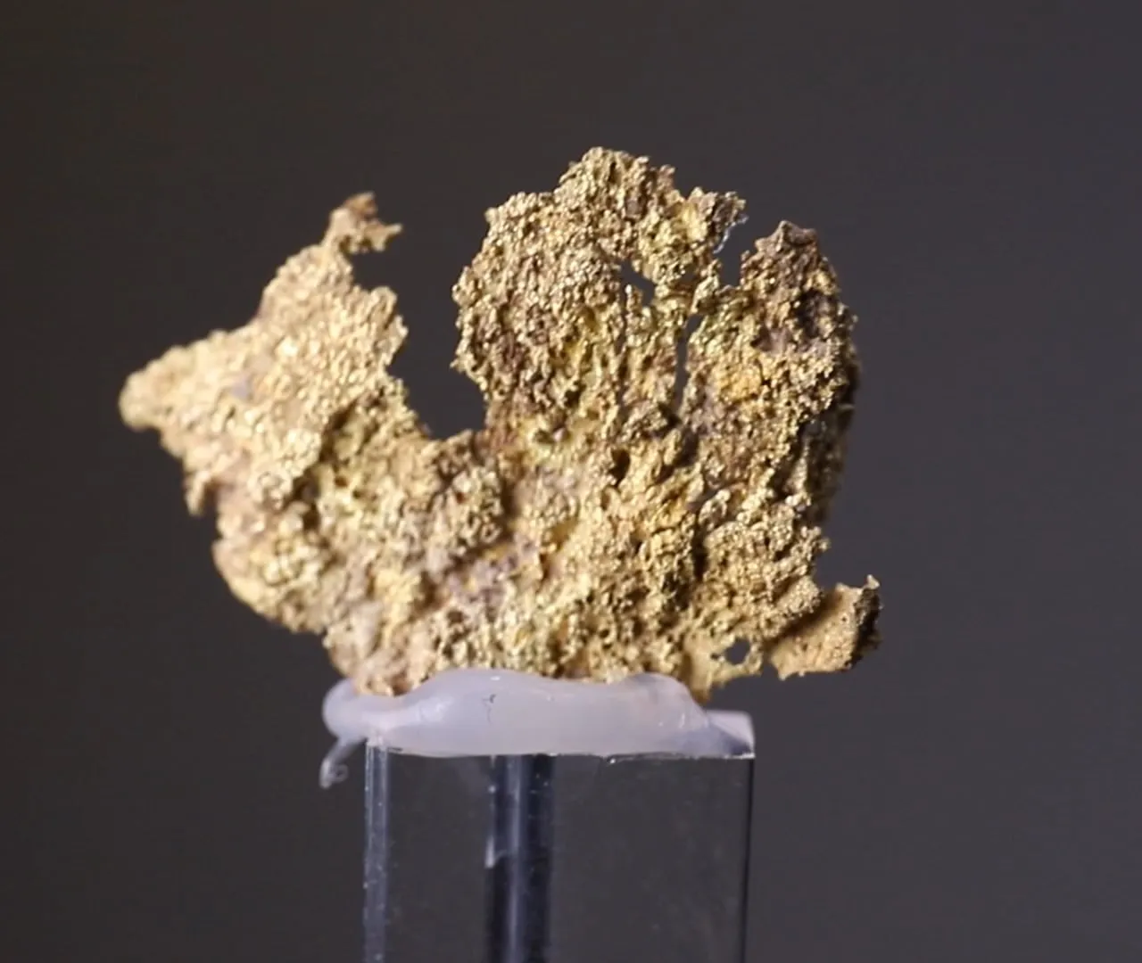 NATIVE Gold - image 2