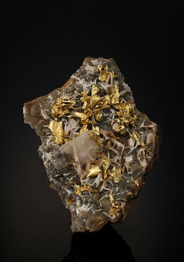 NATIVE Gold image