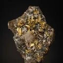 NATIVE Gold - image 1