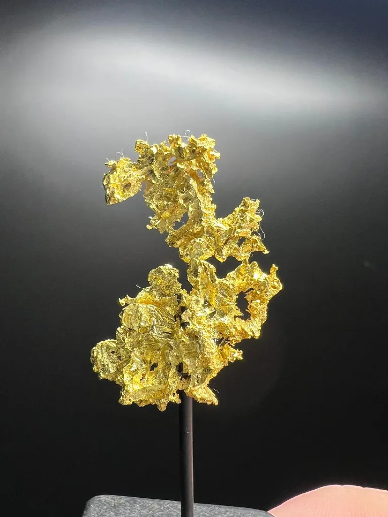 NATIVE Gold image