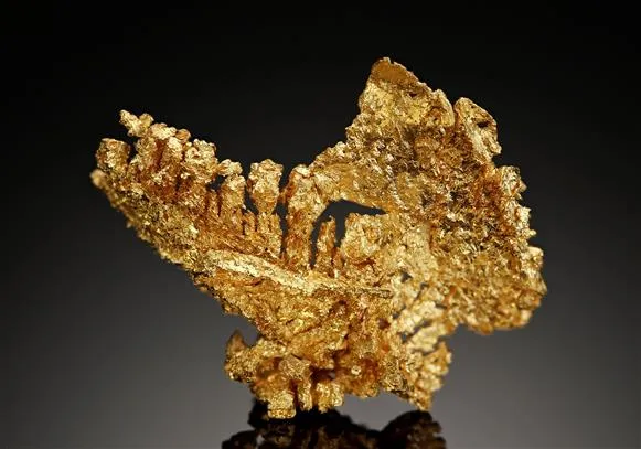 NATIVE Gold image