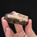 NATIVE Gold - image 2