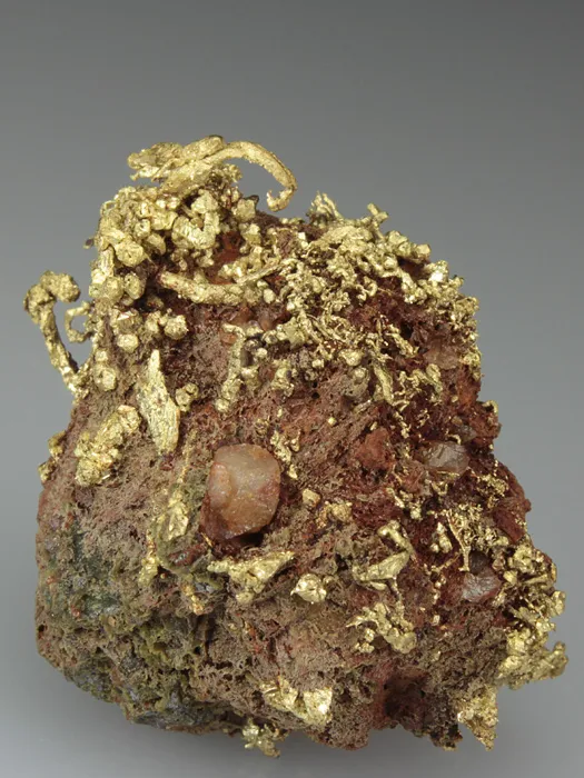 NATIVE Gold - image 1