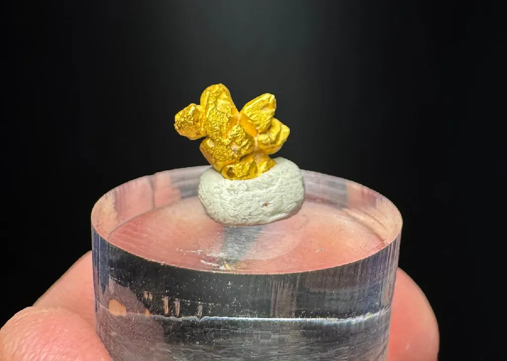 NATIVE Gold image