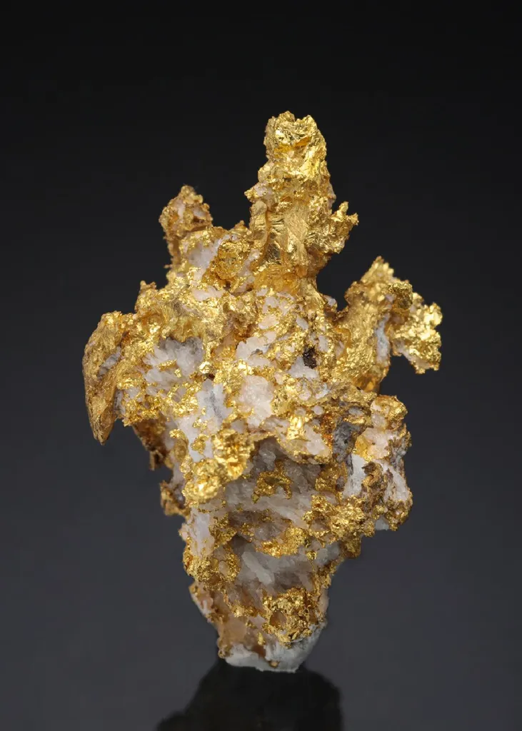 NATIVE Gold image