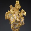 NATIVE Gold - image 1