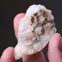 NATIVE Gold - image 2