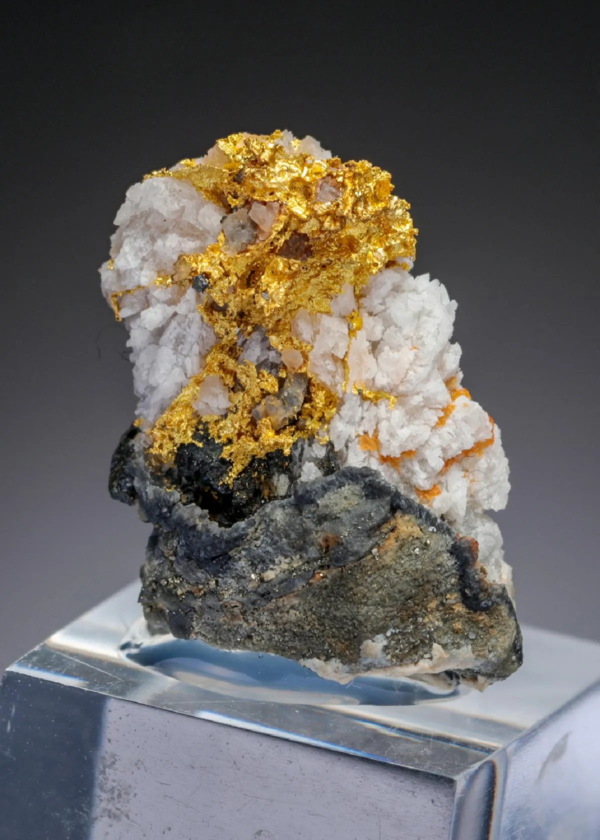 NATIVE Gold - image 1