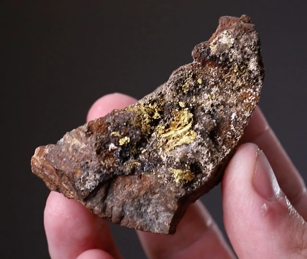 NATIVE Gold - image 2