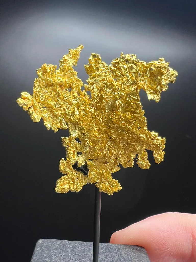 NATIVE Gold image