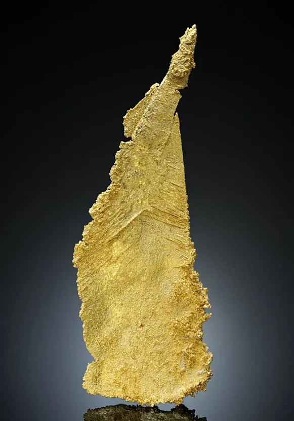 NATIVE Gold image