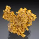 NATIVE Gold - image 1