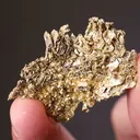 NATIVE Gold - image 2