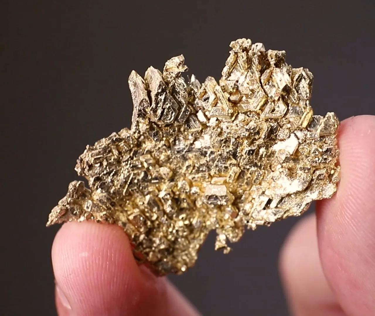 NATIVE Gold - image 2