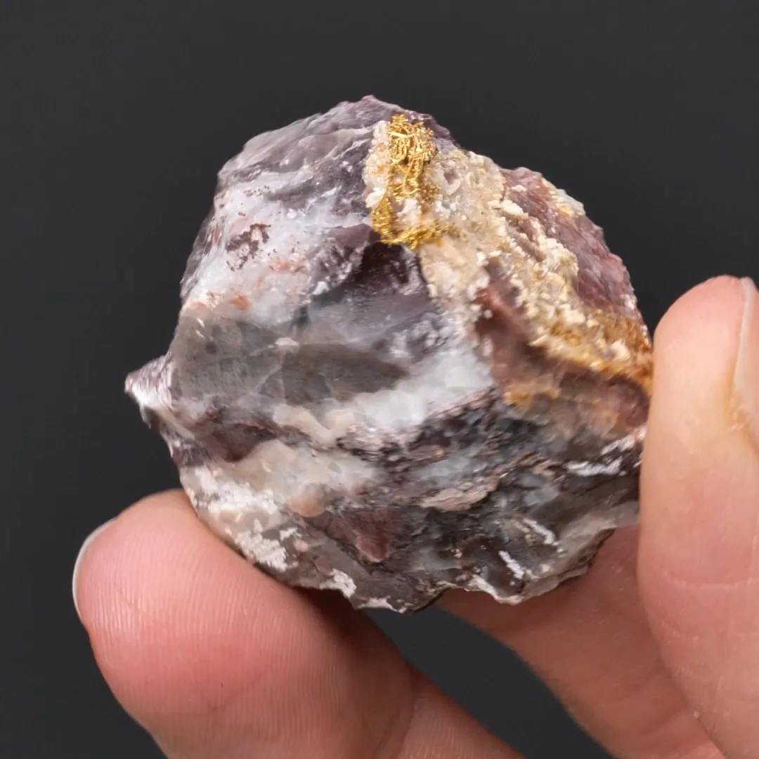 NATIVE Gold - image 2