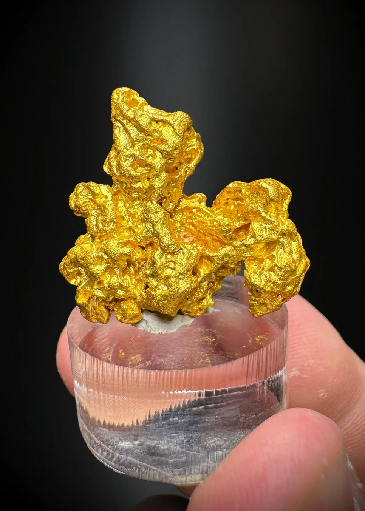 NATIVE Gold - image 1