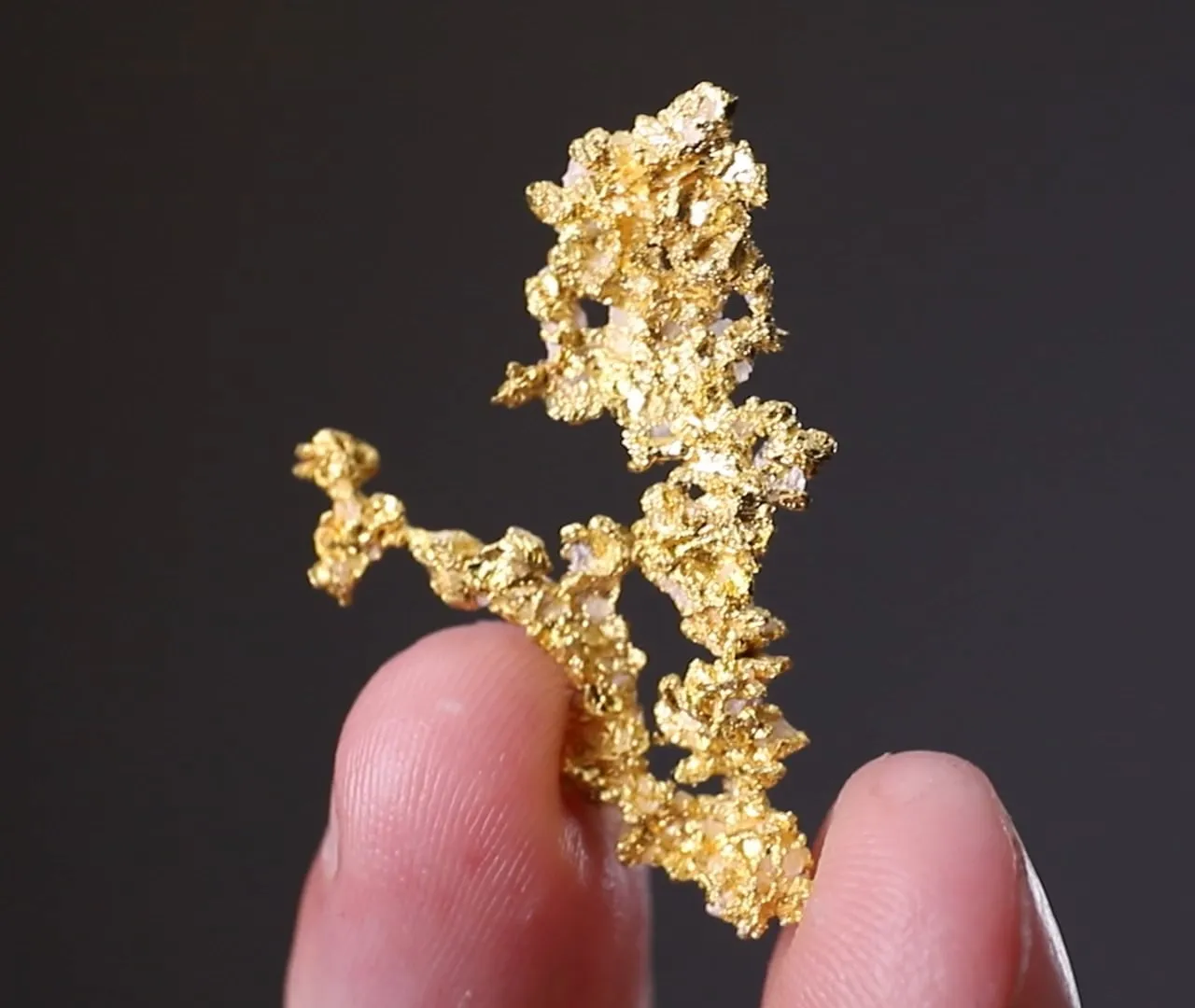 NATIVE Gold - image 2