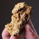 NATIVE Gold - image 2