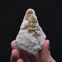 NATIVE Gold - image 2