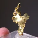 NATIVE Gold - image 2