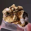 NATIVE Gold - image 2