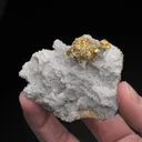 NATIVE Gold - image 2