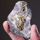 NATIVE Gold - image 2