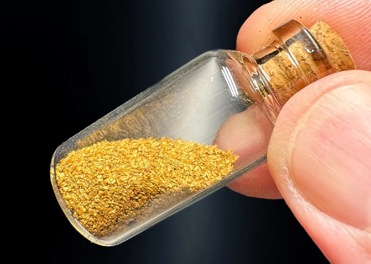 NATIVE Gold in phial - image 1