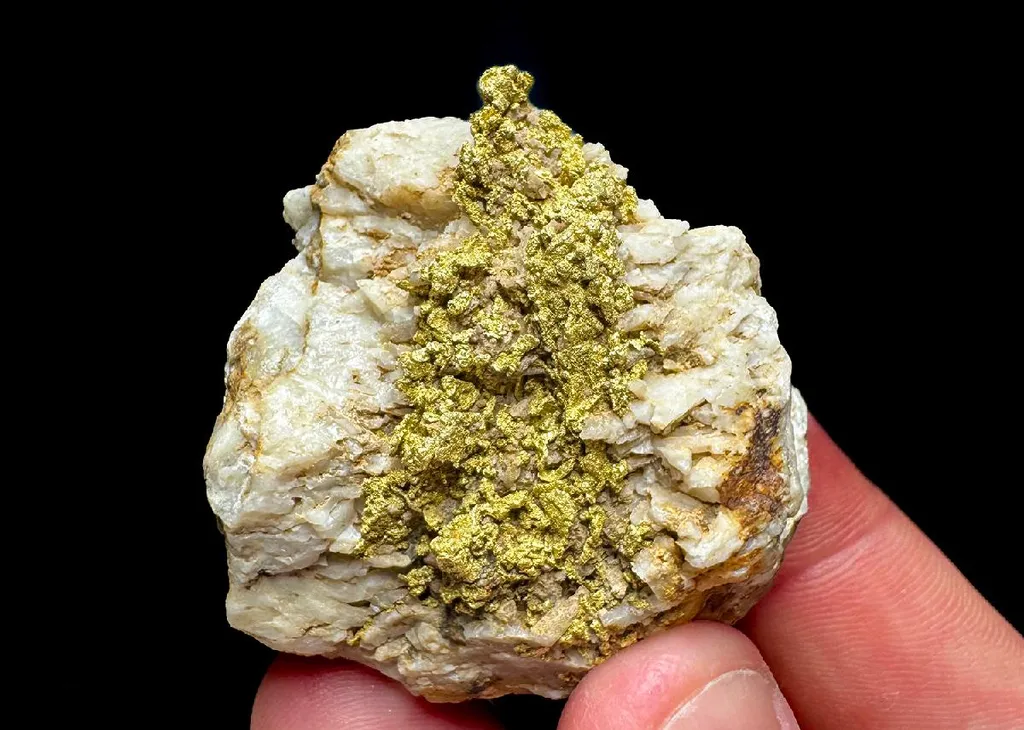 NATIVE Gold in Quartz image
