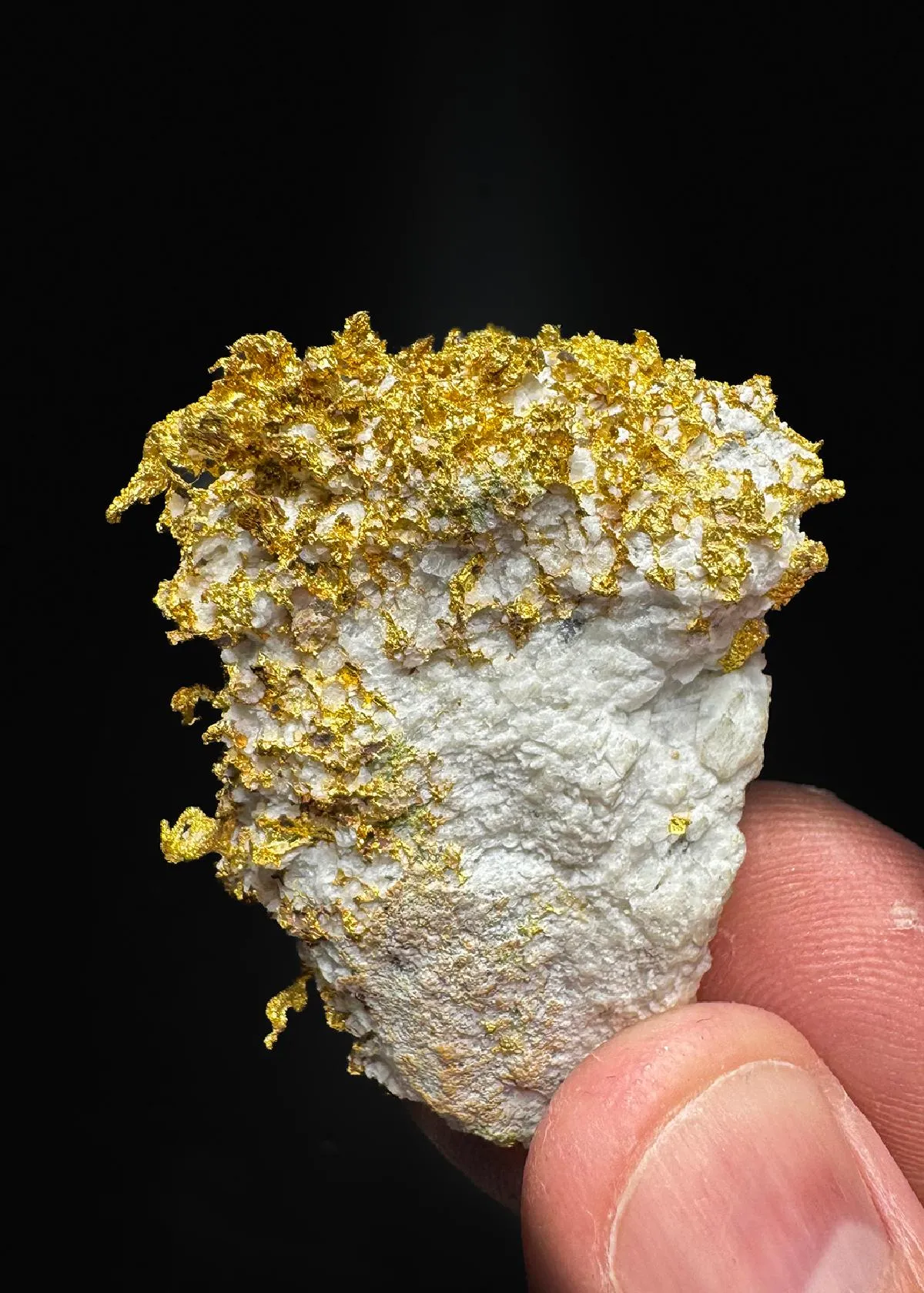 NATIVE Gold in Quartz - image 1