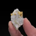 Native Gold in Quartz - image 2
