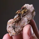NATIVE Gold in Quartz - image 2