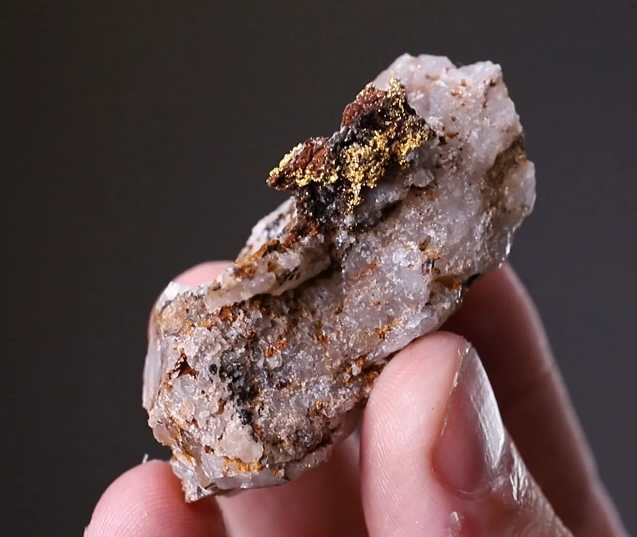 NATIVE Gold in Quartz - image 2