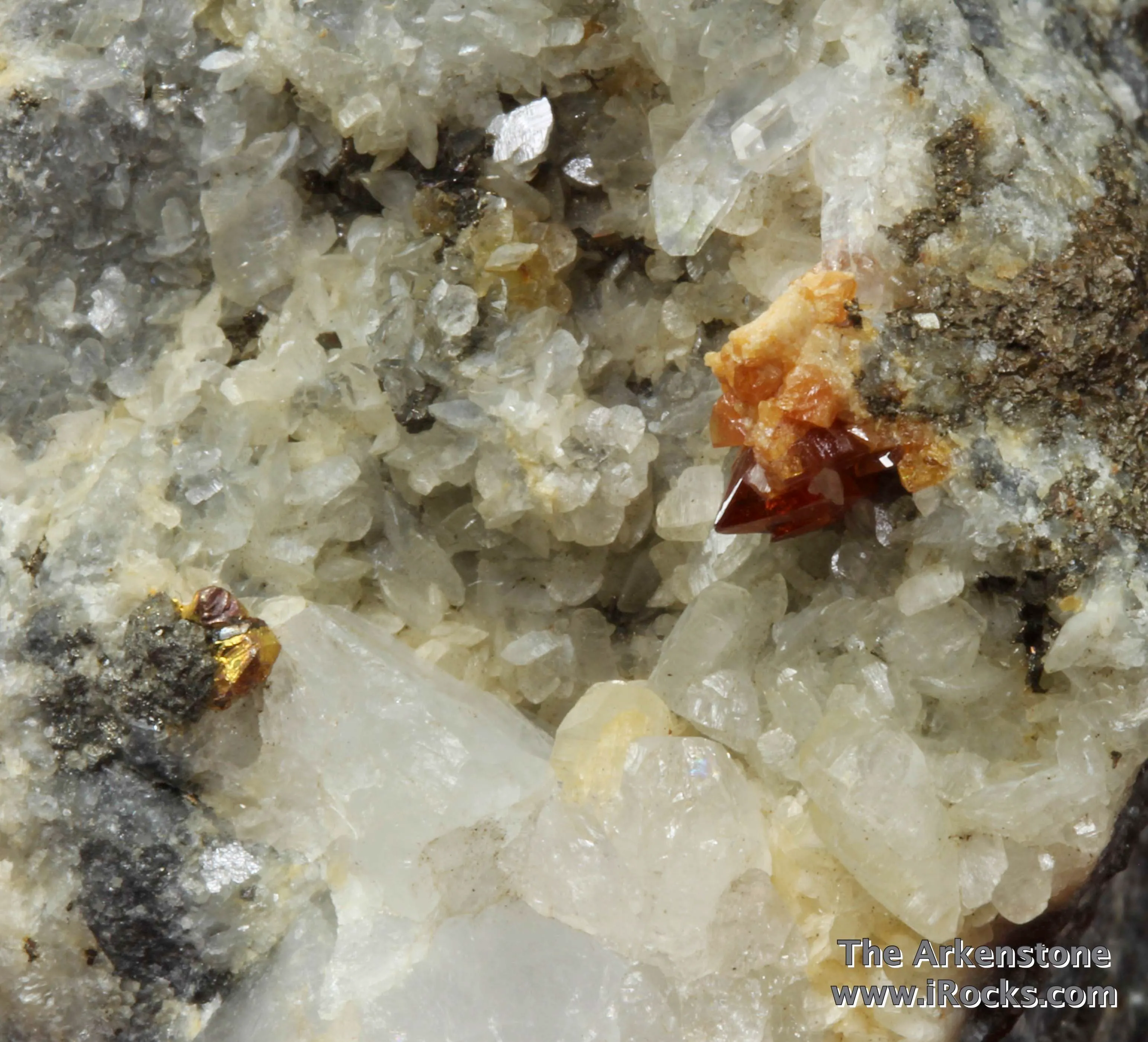 Native Gold in Quartz Vein with Scheelite, Dolomite, Pyrrhotite, and Arsenopyrite - image 2
