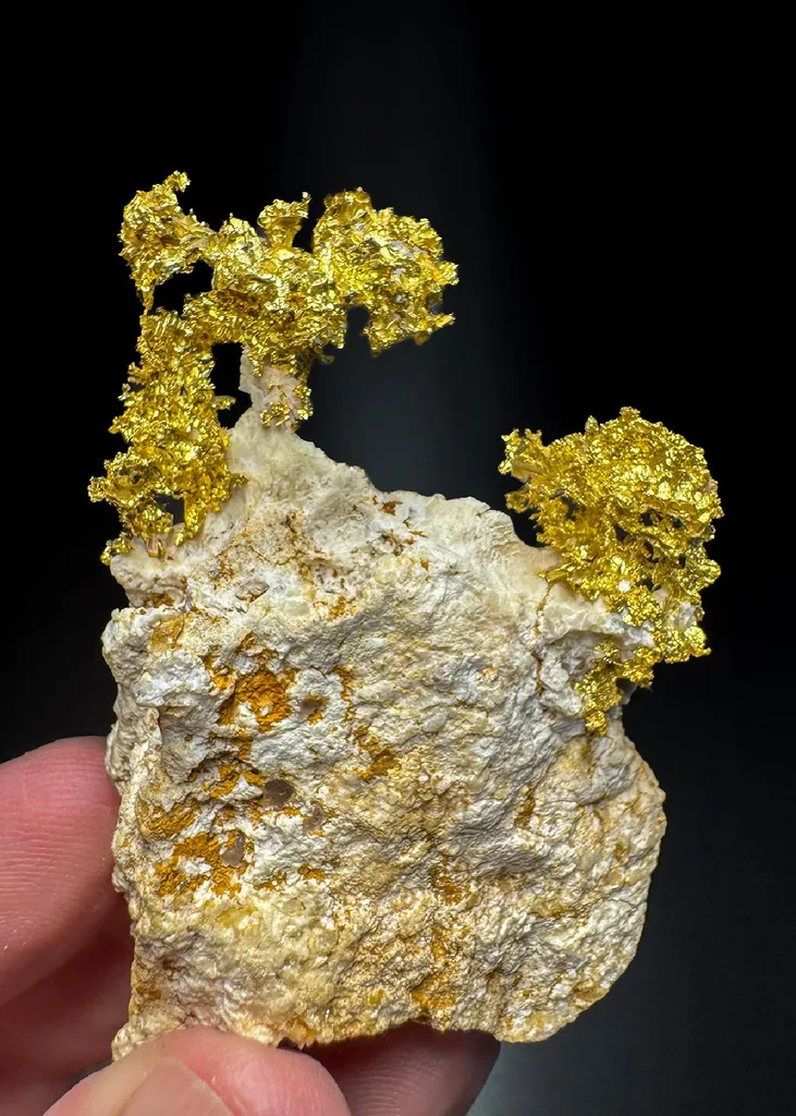 NATIVE Gold on Dolomite image