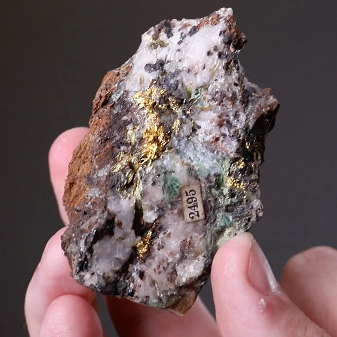 NATIVE Gold on Quartz - image 2