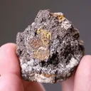 NATIVE Gold with Chlorargyrite - image 2