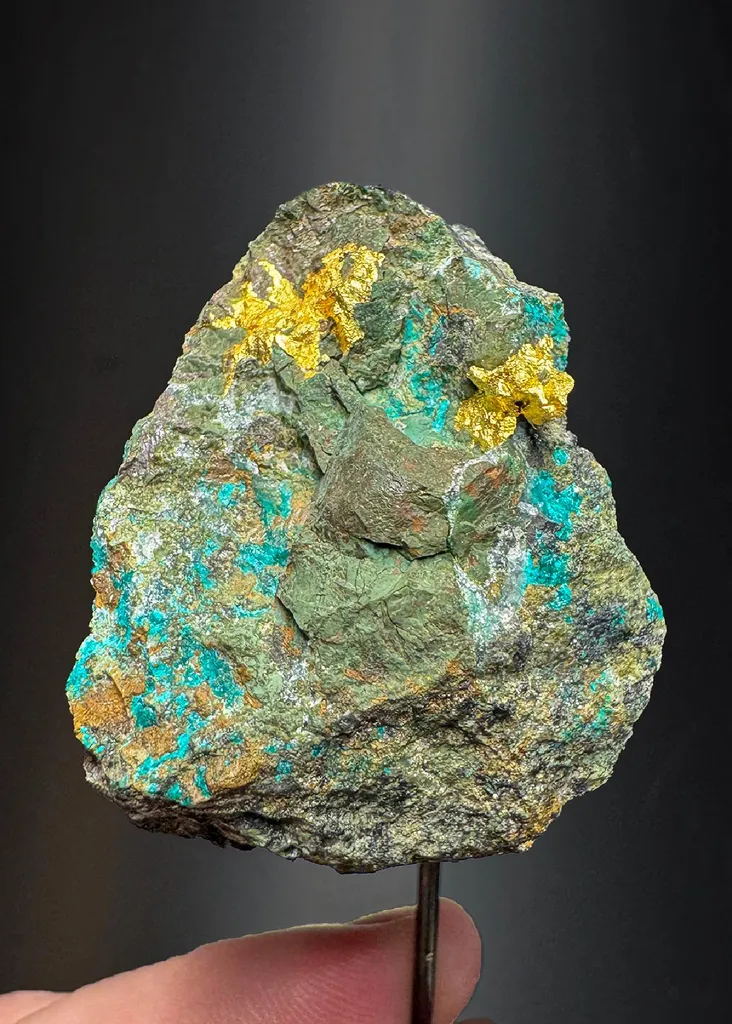 NATIVE Gold with Chrysocolla image