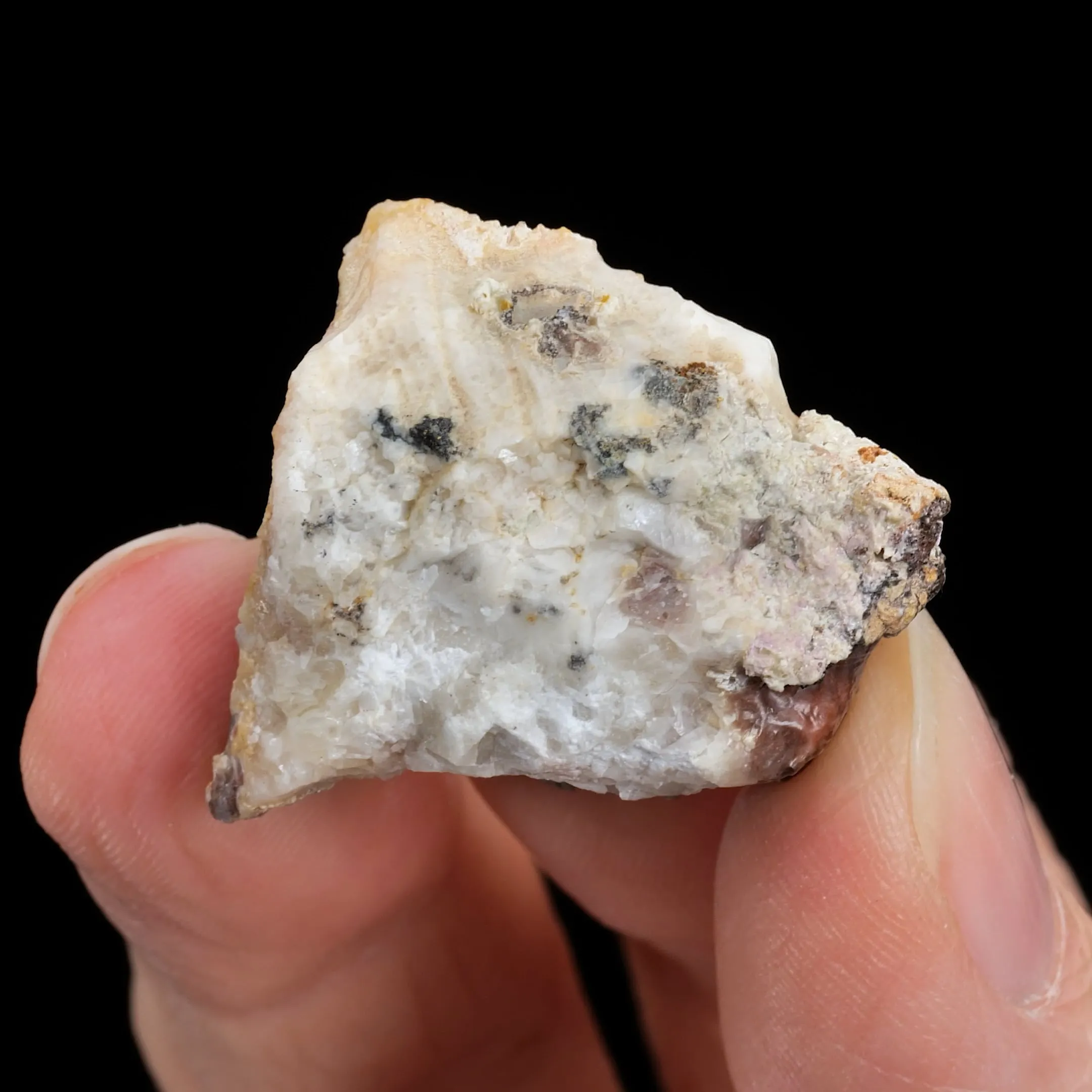 NATIVE Gold with NAUMANNITE and Clausthalite - image 2