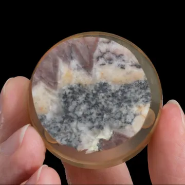 NATIVE Gold with NAUMANNITE and Clausthalite Polished Section
