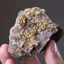 NATIVE Gold with Quartz - image 2