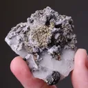 NATIVE Gold with Sphalerite - image 2