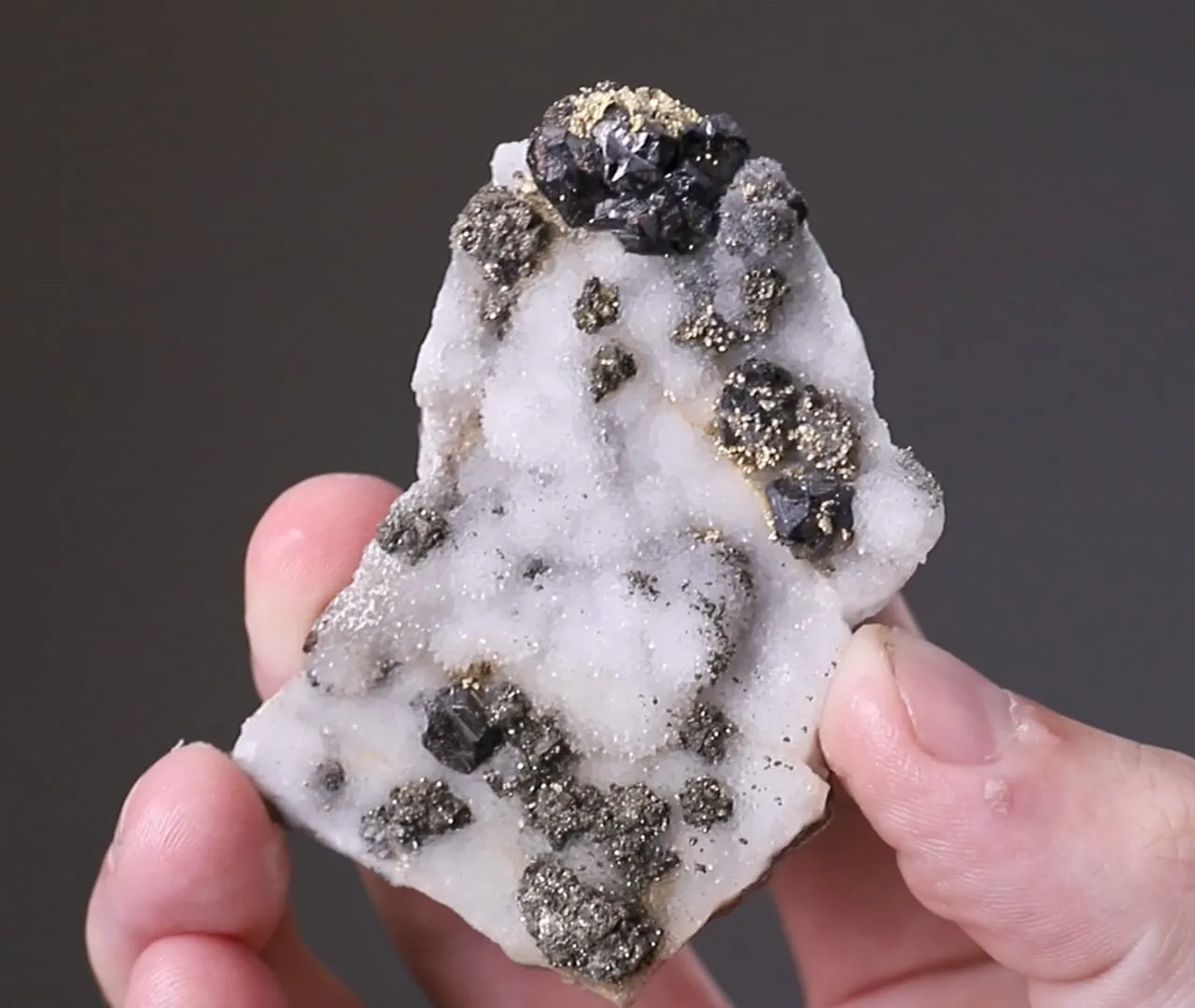 NATIVE Gold with Sphalerite Pyrite and Chalcopyrite - image 2