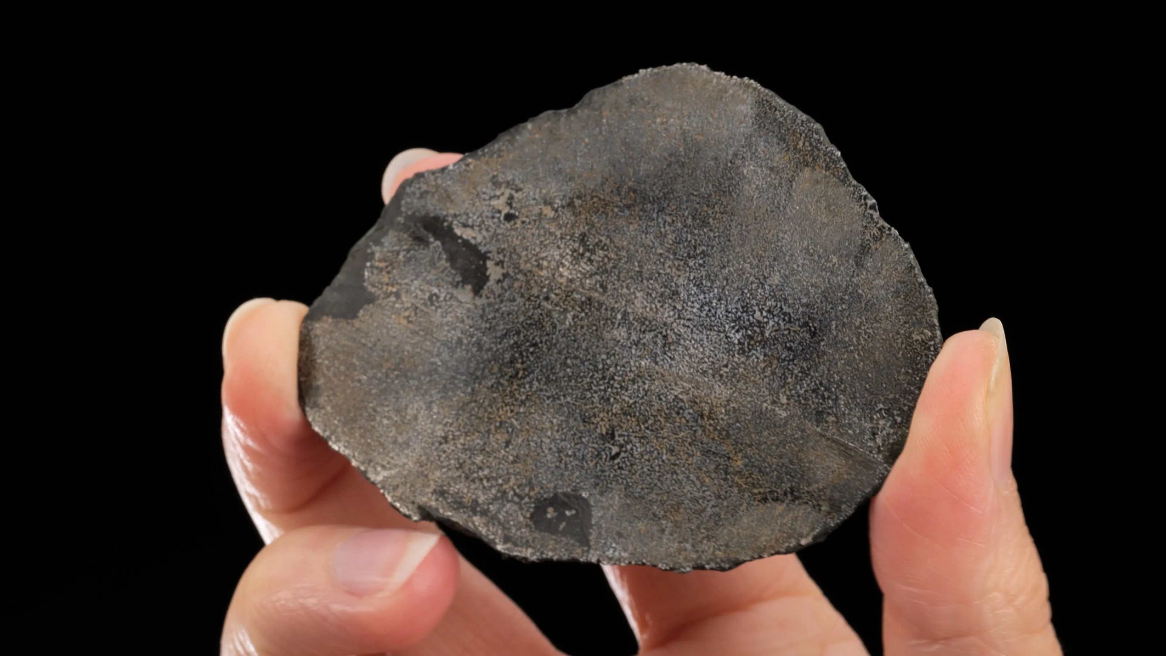 NATIVE Iron - image 2