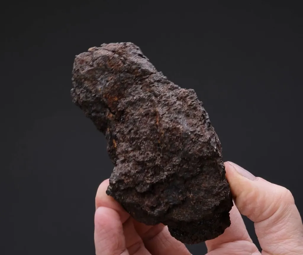NATIVE Iron - image 2