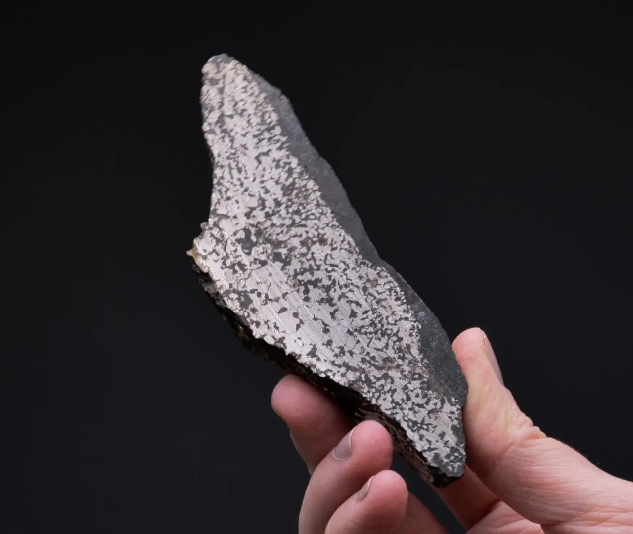 NATIVE Iron - image 2