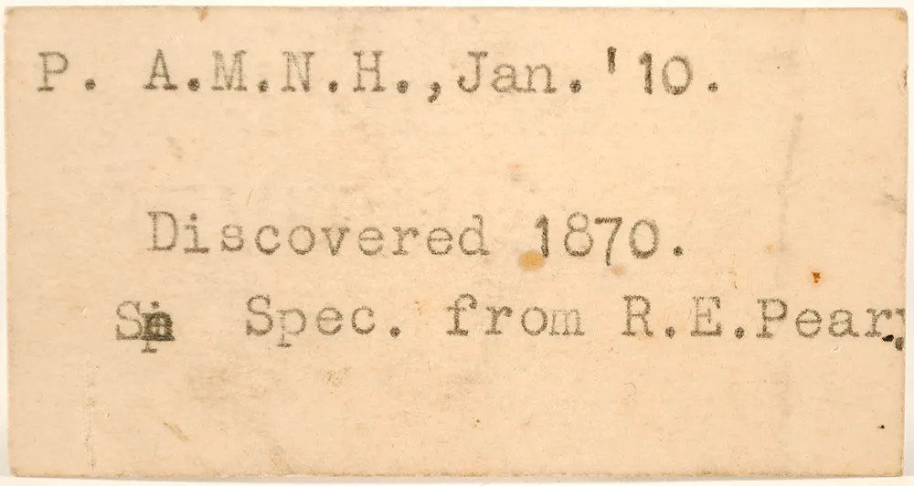 Native Iron (Ex. Amnh From Robert Peary Expedition, 1910) - image 3